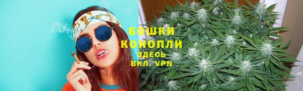 мдпв Сатка