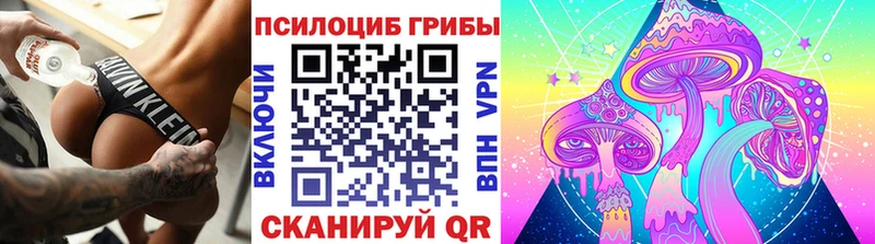Псилоцибиновые грибы MAGIC MUSHROOMS  где купить наркоту  Вельск 